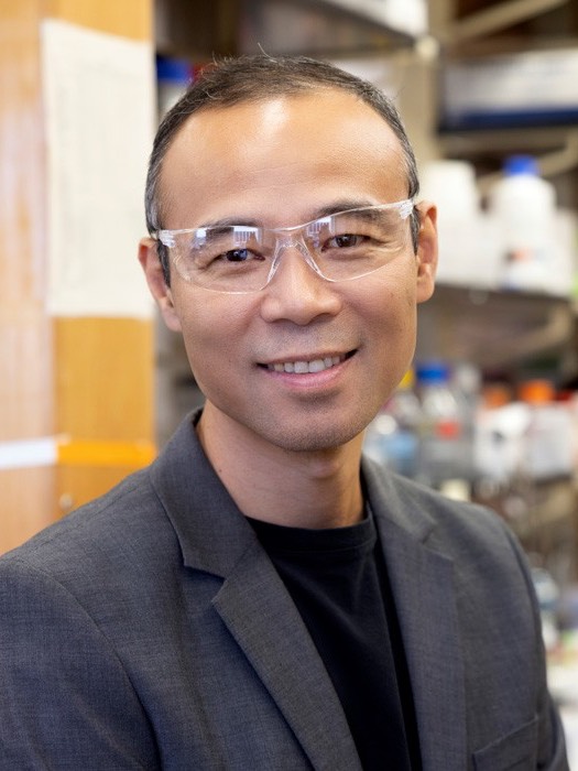 Qian Wang, Ph.D.